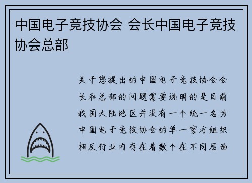 中国电子竞技协会 会长中国电子竞技协会总部